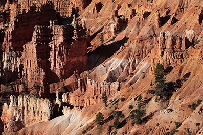 Bryce Canyon : Utah : Landscape Photos : Richard Moore : Photographer